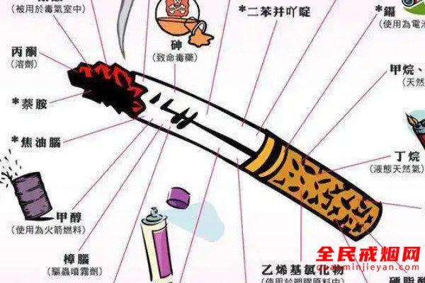 解析吸烟与肺癌的关系，吸烟与肺癌之间的关系