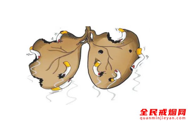 钻研显示：烟龄越长越易引起与癌症相关的基因突变，研究表明吸烟容易导致癌