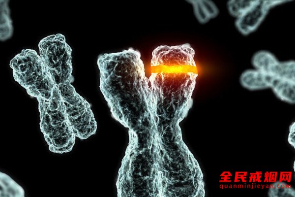 最新发现吸烟可以引起基因突变，吸烟导致基因突变