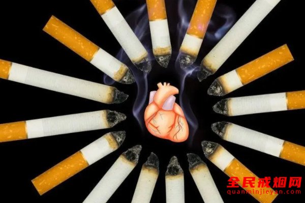 吸烟越多对心脏的功能损伤越大，吸烟可以导致心脏受损