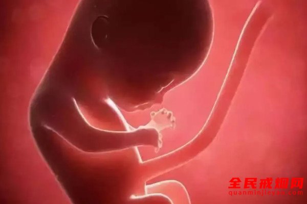 准妈妈一定要知道二手烟对胎儿的危害，二手烟对胎儿有什么影响