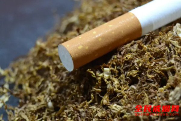 每天吸多少烟对身体有明显的伤害，每天吸多少烟不会产生危害
